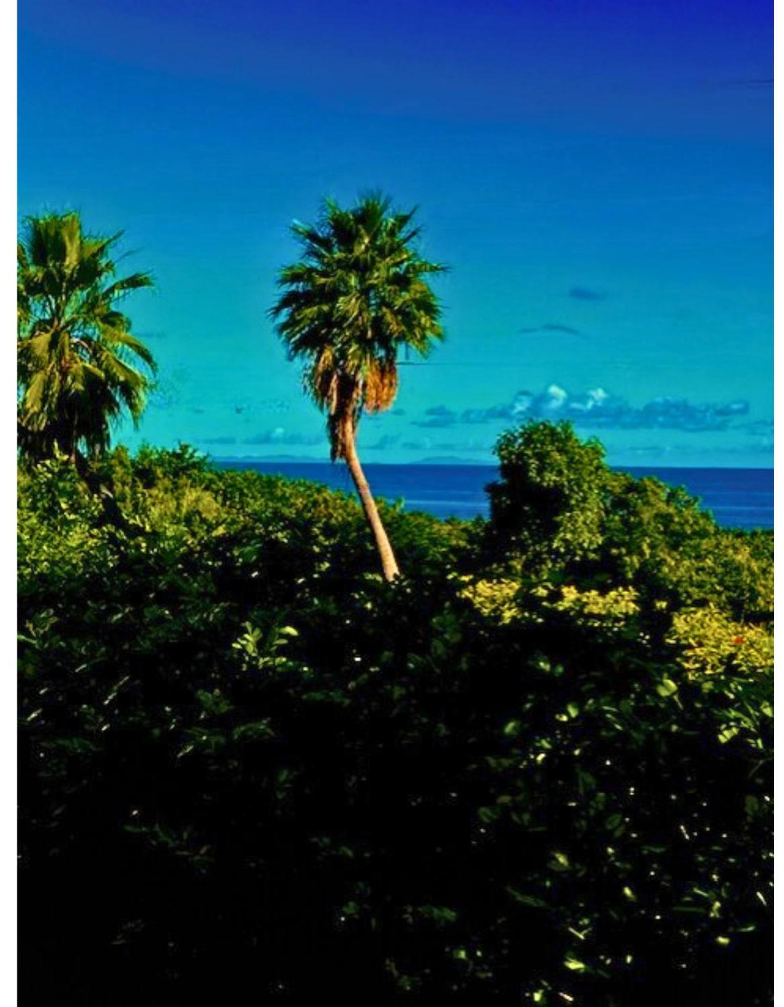The Cove Hotel St Croix La Grande Princesse Buitenkant foto